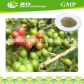 Dietary Supplement green coffee bean powder 50% chlorogenic acid